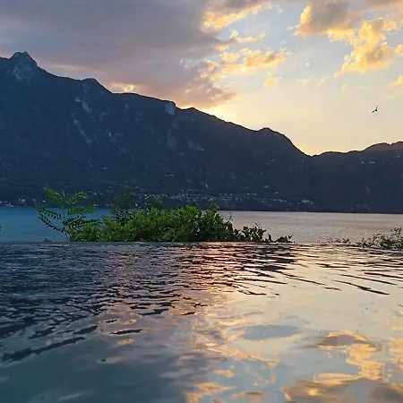 Capsule hotel Tiny-house-pool-lake *