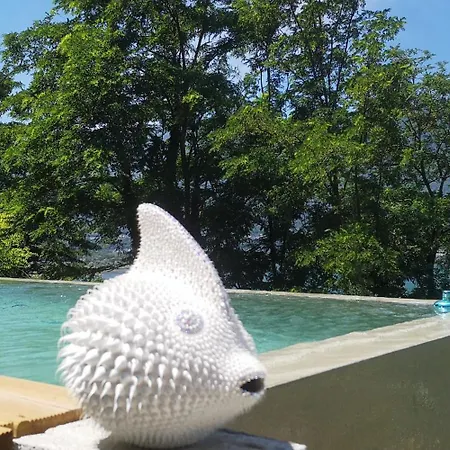Tiny-house-pool-lake Capsule hotel *